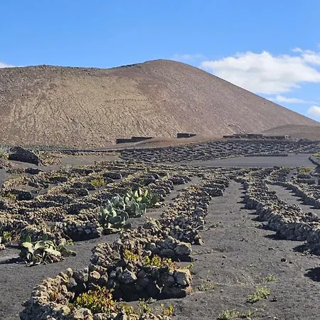 Tatil Evi Casa Mica Rural - Idyllic Setting By Lanzarote *