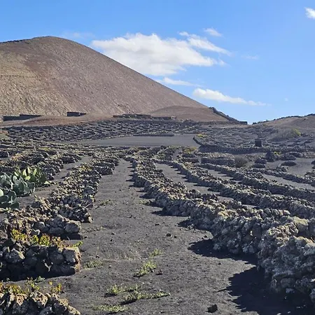 Tatil Evi Casa Mica Rural - Idyllic Setting By Lanzarote Tegoyo