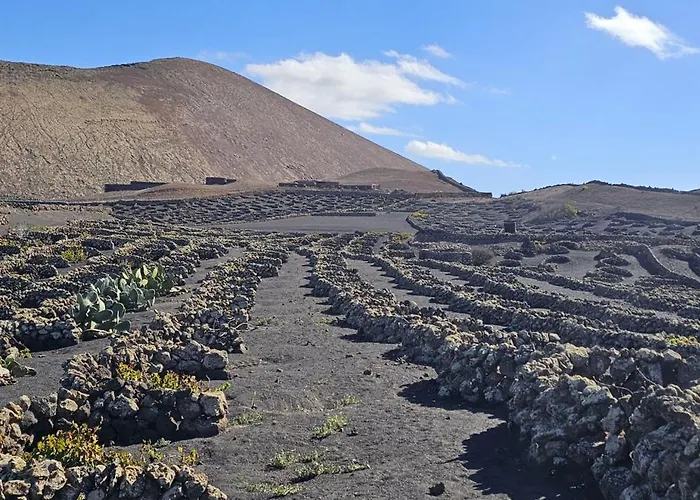 Holiday home Casa Mica Rural - Idyllic Setting By Lanzarote Conil